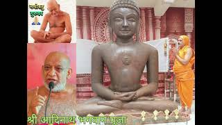 श्री आदिनाथ भगवान पूजा  जैन दर्शन video viral [upl. by Rasaec353]