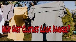 Why Wet Clothes Look Darker than Dry Clothes [upl. by Nonrev]