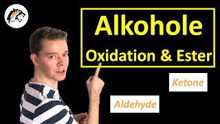 Reaktionen der Alkohole Oxidation amp Esterbildung  Chemie Tutorial [upl. by Nosned]