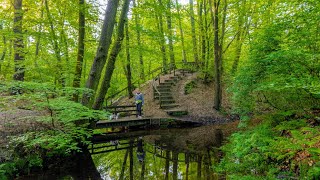 Hiking in Eerbeek Gelderland Netherlands [upl. by Aronael533]