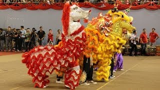 Horse Lion Dance 1st in Malaysia [upl. by Ydnamron]