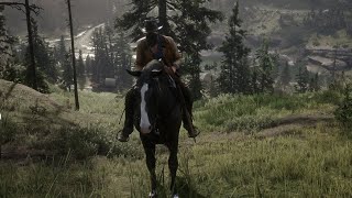 Red Dead Redemption 2 Bandana Mask Gameplay [upl. by Manbahs]