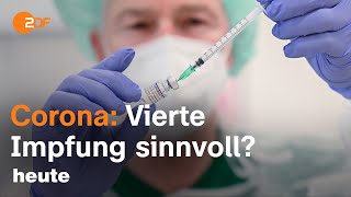 Vierte CoronaImpfung Für wen ist sie jetzt sinnvoll  ZDF Morgenmagazin [upl. by Adnilym]