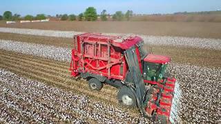 CaseIH Module Express Cotton Picker [upl. by Aw]