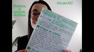 Mutations et variabilité génétique  1ère spé SVT  Madame SVT [upl. by Sibyl]