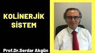 Farmakoloji Kolinerjik sistem Serdar Akgün [upl. by Rosalie]