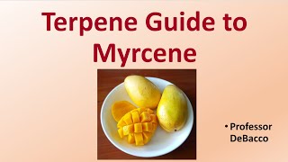 Terpene Guide to Myrcene [upl. by Treblihp229]