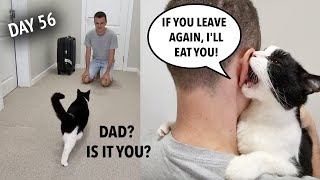 Dad Came Back 15 Month Later Cats Reaction [upl. by Neveda]