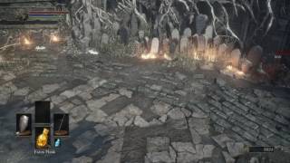 Dark Souls 3  Sirris and Yuria vs Hawkwood and Leonhard [upl. by Irrab]