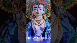 19 White Tara Sitatapatra Pacifying Mantra Alleviates All Suffering [upl. by Leahcimal270]