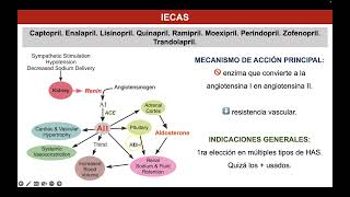 Antihipertensivos II IECAS y ARAII [upl. by Wrdna]