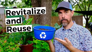 HOW TO REVITALIZE AND REUSE OLD POTTING SOIL [upl. by Haneekas612]