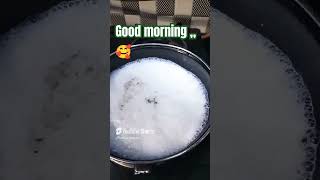 morning morningtea viralvideo recipe popular trending song chai bollywood newsongs [upl. by Clementas]