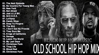 OLD SCHOOL HIP HOP MIX 🔥🔥🔥 Snoop Dogg Dr Dre Eminem The Game 50 Cent 2PAC DMX Lil Jon [upl. by Loraine]