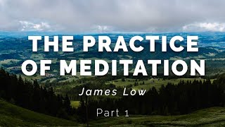 14 The Practice of Meditation Wiesen 072024 [upl. by Otrevire932]