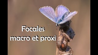 S3E18 Les focales en macro et proxiphotographie [upl. by Ardnuhsal50]