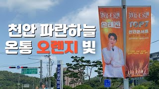 손태진 가로등배너 천안 옥외광고로 시내 전체가 빛나네요 [upl. by Ulrika70]