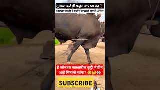 🧐कोणत्या काळातील कुट्टी मशीन आहे मित्रांनो🤔👀😯farmingshortvideosviralshortsRoyalशेतकरीशेतकरीbran [upl. by Brook]