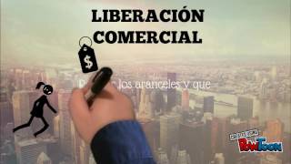 CONSENSO DE WASHINGTON [upl. by Nikolas]