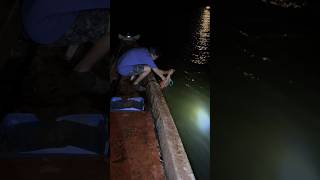 നിലാവെളിച്ചത്തിൽ മീൻ പിടുത്തം 🌙😜🤪 islandbroz fishing fish fishingvideo fishinglife fisher [upl. by Nylazor]