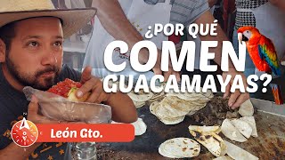 ¡Cuidado con la comida y los zapatos en León Guanajuato ft Maquinacamp [upl. by Ardelis689]