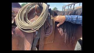 Saddling a horse with ease [upl. by Christiane]