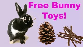 DIY FREE rabbit chew toys [upl. by Merideth]