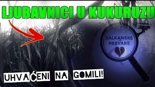 LJUBAVNICI U KUKURUZU UHVAĆENI NA GOMILI  Balkanske prevare [upl. by Laks]