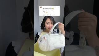 UNBOXING KUCING LAGI 🥳  Klara Tania shorts [upl. by Yrollam]