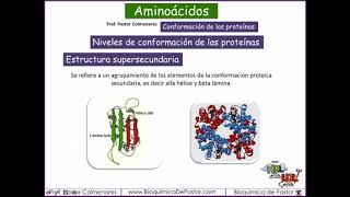 Niveles de conformación de las proteínas  Parte XII [upl. by Cimah432]