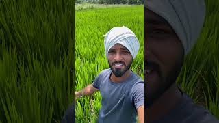 Bank loan  lifestyle vlog agriculture  villagefarmingvillagelife [upl. by Lantz]