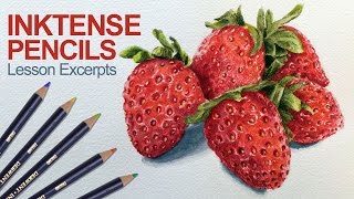 How to Draw with Inktense Pencils  Lesson Excerpts [upl. by Shelagh]