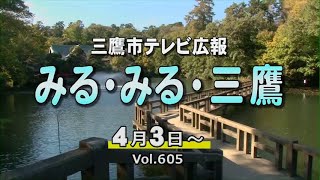 三鷹市テレビ広報「みる・みる・三鷹」第605回（2022年4月3日号） [upl. by Aysahc6]