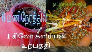 எளிய முறை நாட்டுக்கோழிக்கு கரையான் உருவாக்கும் விதம் natukoli karaiyaan urpathi [upl. by Ennyl754]