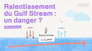 Ralentissement du Gulf Stream un danger  DécodActu  Lumni [upl. by Birdt]