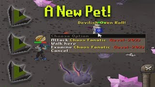 Road To All Pets  A New Pet  Lucky In The Wrong Places  Vorkath Pet Hunt OSRS [upl. by Colfin]