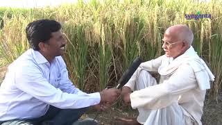 S 4001 Rice Syngenta India Hindi Testimonial [upl. by Olegnad988]