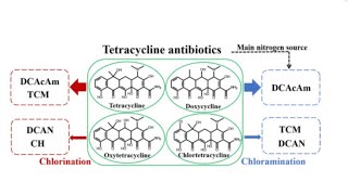 Antibiotics part10 tetracycline مضادات حيويهlippin cott pharmacology [upl. by Nylekoorb144]