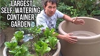 Largest Self Watering Container Garden Lasts a Month Without Watering [upl. by Tacita228]