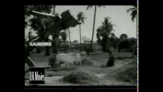 TAMIL OLDVaamma vaamma chinnammaTHAYILLA PILLAI 1961 [upl. by Onitnelav]