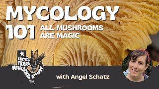 Mycology 101 [upl. by Donovan]