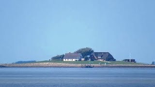 Vorbei an Hallig Langeneß [upl. by Sturdivant]