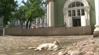 Les Chats de lErmitage SaintPétersbourg [upl. by Franckot]