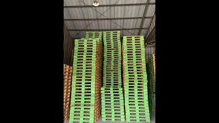 Pembuatan Pallet dari PT Trinaga Internusa [upl. by Savina1]