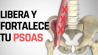 Libera Y Fortalece Tu Psoas [upl. by Nylla]