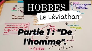 HOBBES  LE LÉVIATHAN Partie 1  quotDe lhommequot [upl. by Bena]