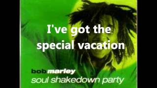 Bob Marley Soul Shakedown Party Lyrics on Screen [upl. by Edris561]