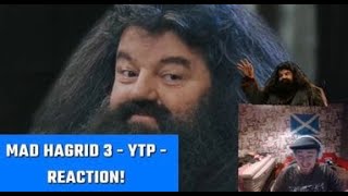 MAD HAGRID 3  YTP  Reaction  Hes Back With Another Masterpiece Hagrid Is DEADLY [upl. by Diet]