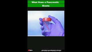 What Does a Pancreatic Elastase Test Measure and What Do the Results MeanShorts [upl. by Antonin142]