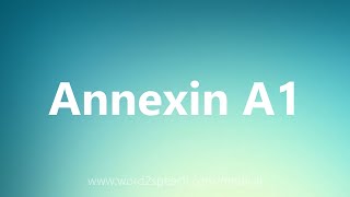 Annexin A1  Medical Meaning [upl. by Cohin]